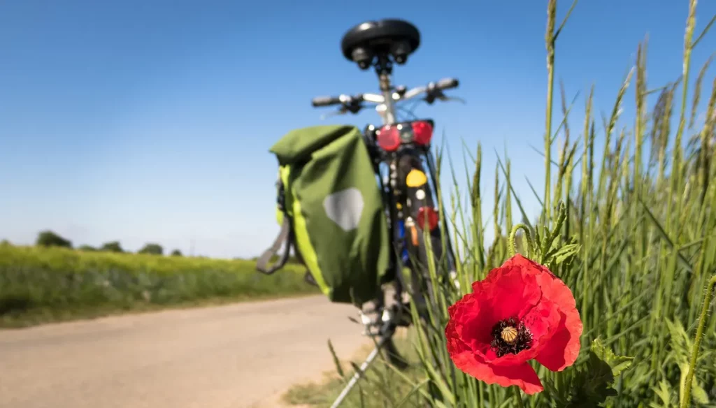 Vožnja bicikle – aktivnost i opuštanje u jednom!