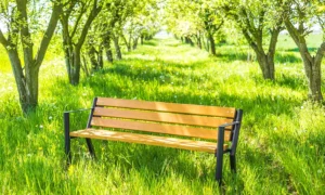 Klupa Gladiator Bis s rukonaslonom