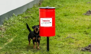 Koš za pseći izmet Tobi