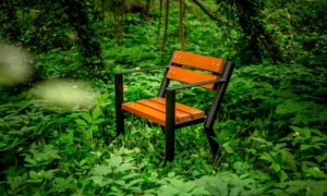 Vanjska stolica Gladiator s rukonaslonom