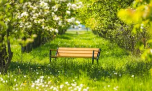 Klupa Gladiator Bis s drvenim rukonaslonom