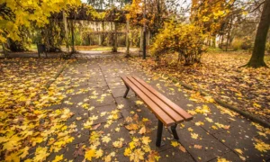 Klupa Gladiator bez naslona