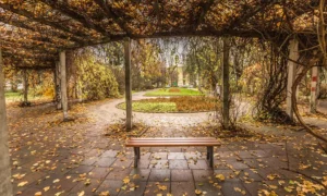 Klupa Gladiator bez naslona