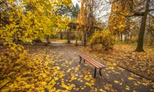 Klupa Gladiator bez naslona