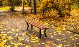 Klupa Gladiator bez naslona