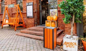 Koš za smeće Aster Bis