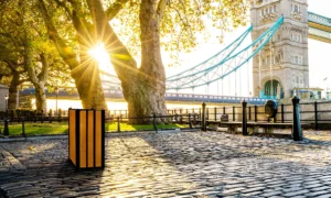 Koš za smeće Aster Bis