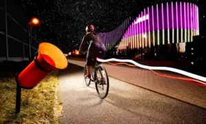 Koš za bicikliste BIKER