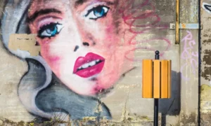 Koš za smeće Geneva