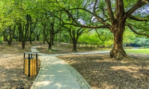 Koš za smeće Singiel