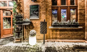 Koš za smeće Sofia Bis