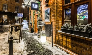 Koš za smeće Sofia Bis