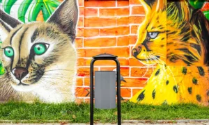 Koš za smeće Salvador