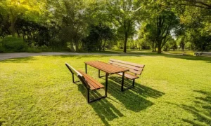 Gradski stol Dionizos