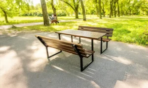 Gradski stol Dionizos